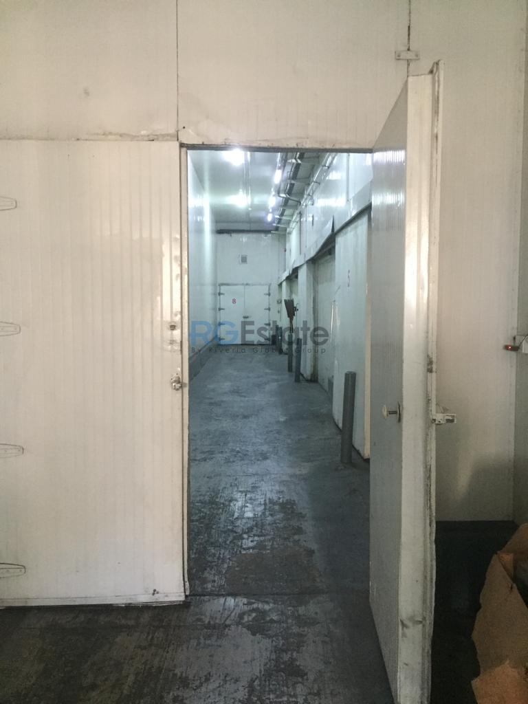 Ideal Cold Storage Solution: 13,000 Sqft Warehouse with Office & Loading Bay for Rent in Al Qusais, Offering 8 Cold Rooms and Premium Amenities for Cold Storage Use  | RGEstate UAE