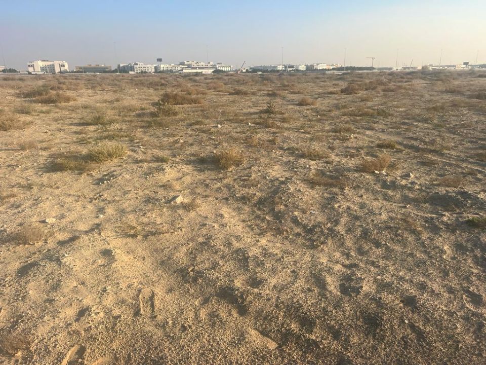 1,100,000 sqft Plot for School use For Sale in Al quoz   | RGEstate UAE
