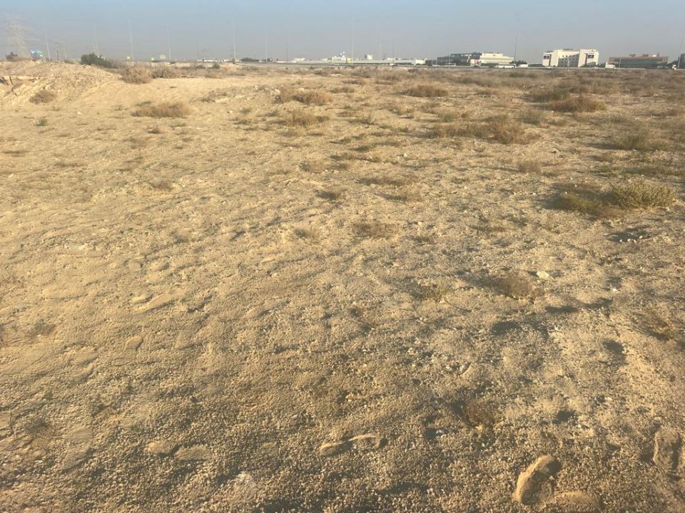 1,100,000 sqft Plot for School use For Sale in Al quoz   | RGEstate UAE