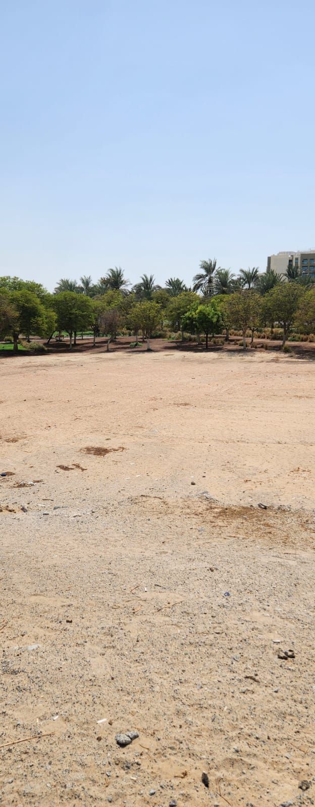 Smarter Investment, Smarter Location - Residential Plot in DSO  | RGEstate UAE