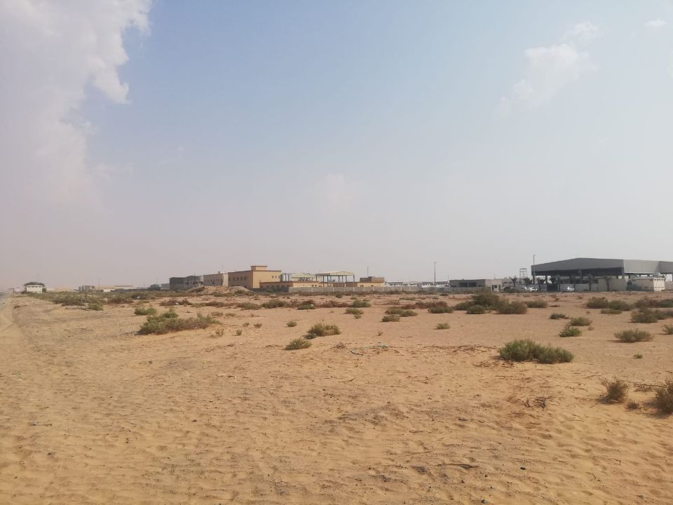 32,300 Sqft Industrial Plot for Sale in Sajja, Sharjah  | RGEstate UAE