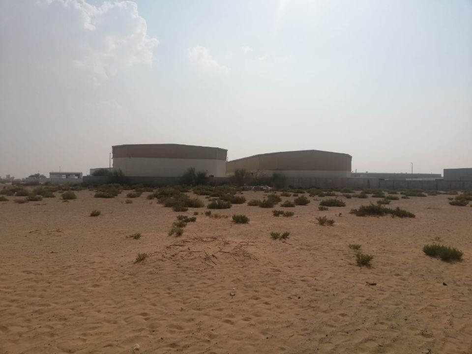 32,300 Sqft Industrial Plot for Sale in Sajja, Sharjah  | RGEstate UAE